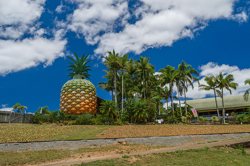 The Big Pineapple Sunshine Coast