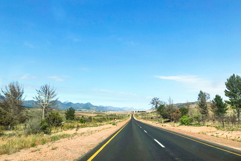 Port Elizabeth Garden Route