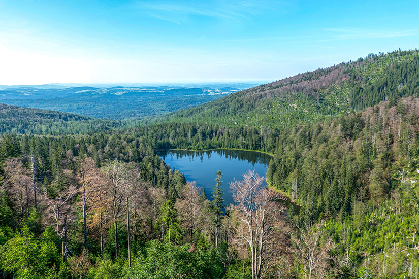 See im Nationalpark Bayerischer Wald