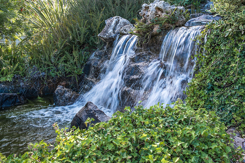 Jardin Botanico Molino de Inca