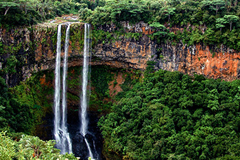 Mauritius Black River Gorges Nationalpark