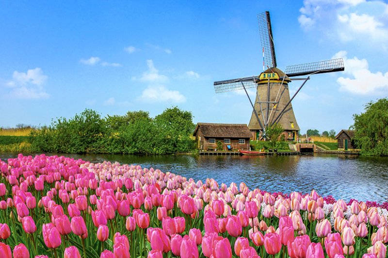 Wunderbar Vorwahl Fur Die Niederlande Entdecke Die Schonheit Der Tulpenlanderfeed