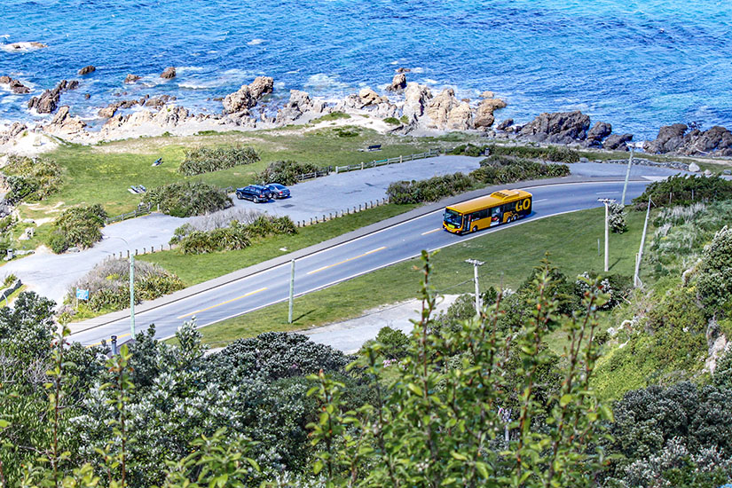 Wellington Neuseeland Bus
