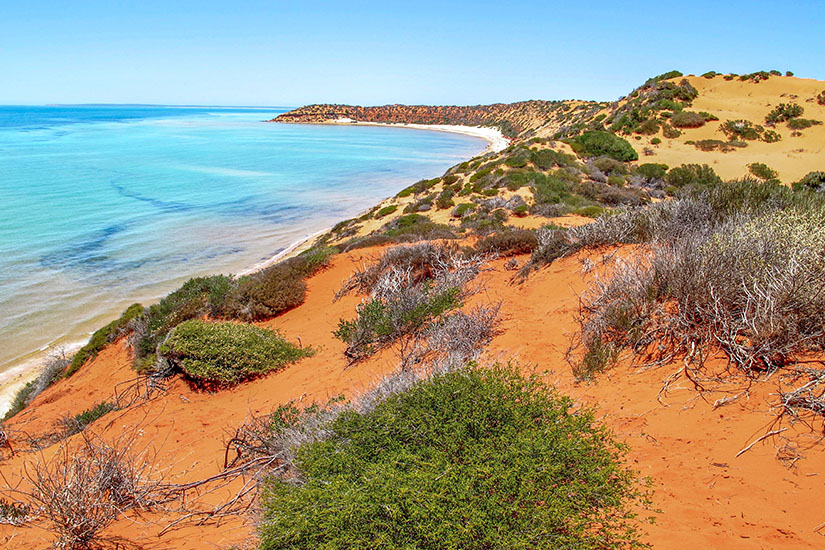 Shark Bay Australien
