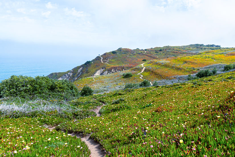 Parque Natural de Sintra Cascais