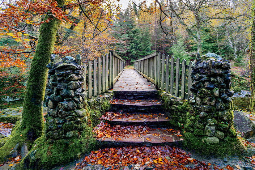 Nordirland Tollymore Forest