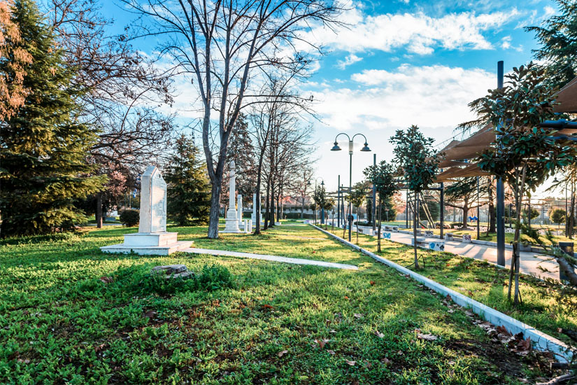 Larissa Platz Miteras