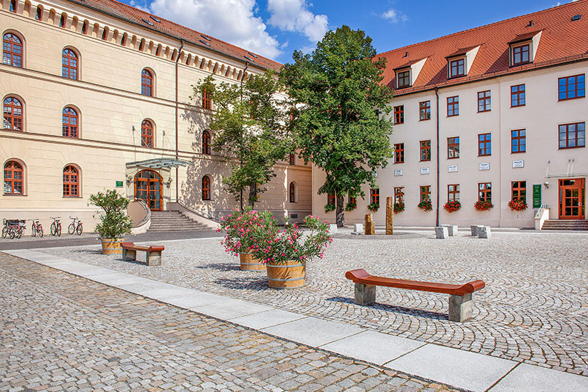 Wittenberger Universitaet