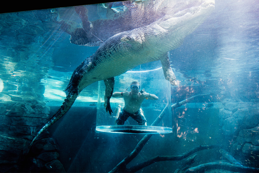 Darwin Crocosaurus Cove