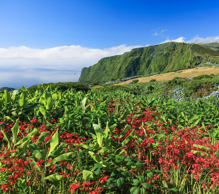 Flores: Tipps und Aktivitäten auf der Insel der Azoren