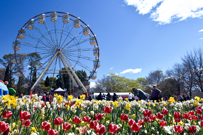Canberra Floriade
