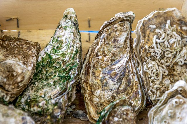 Trapani Strände und Sehenswürdigkeiten auf Sizilien