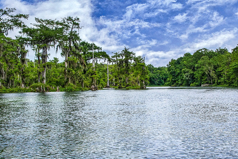 Wakulla Springs