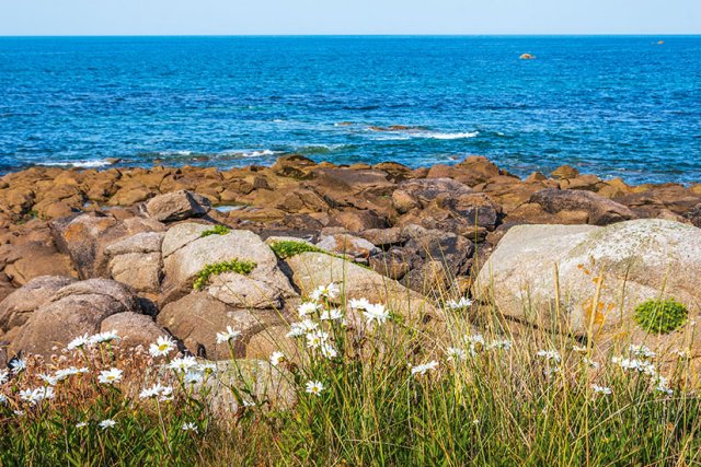 Cherbourg in Frankreich Sehenswürdigkeiten der Stadt