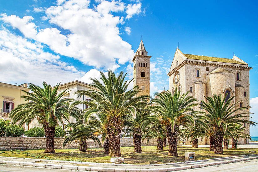 Trani Kathedrale Palmen