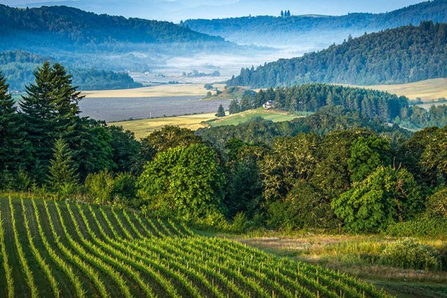 Oregon in den USA Tipps zum USBundesstaat am Pazifik