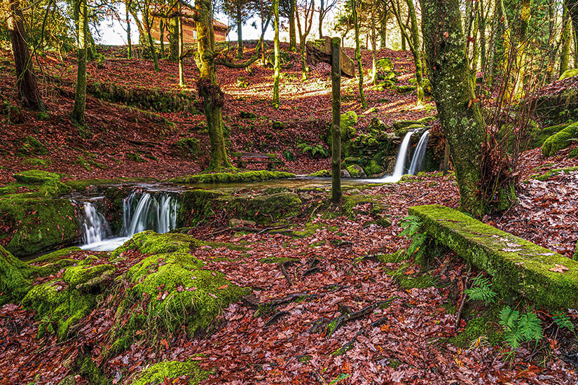 Parque Natural del Monte Aloia