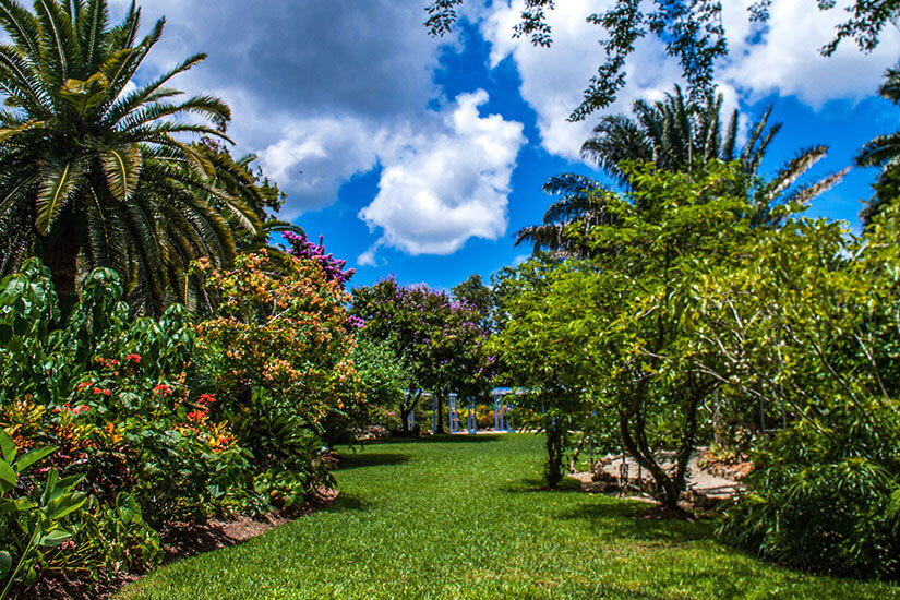 Grand Cayman Botanischer Park