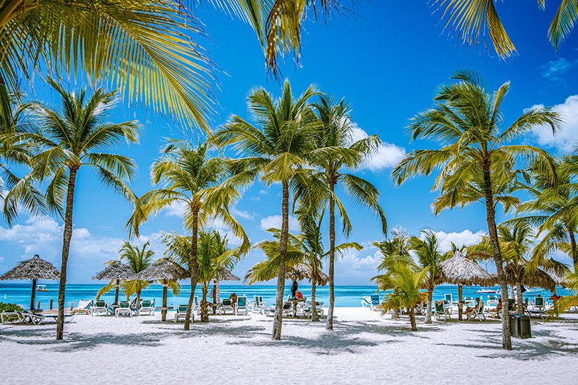 Schoenste Straende Karibik Palm Beach