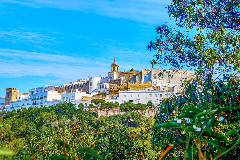 Castillo de Vejer
