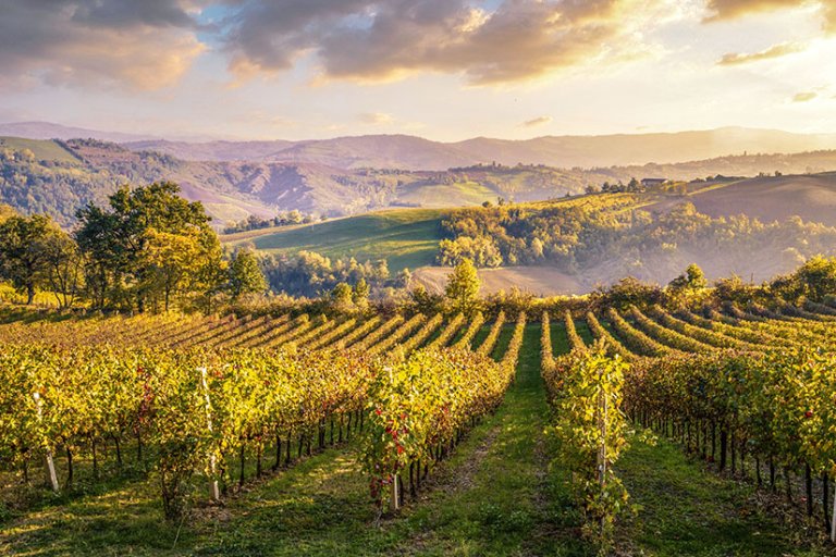 Luxus Emilia Romagna Urlaub Bild