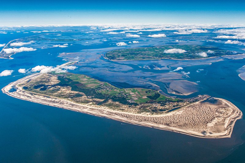 Wale in der Nordsee: Wo welche Arten beobachten?