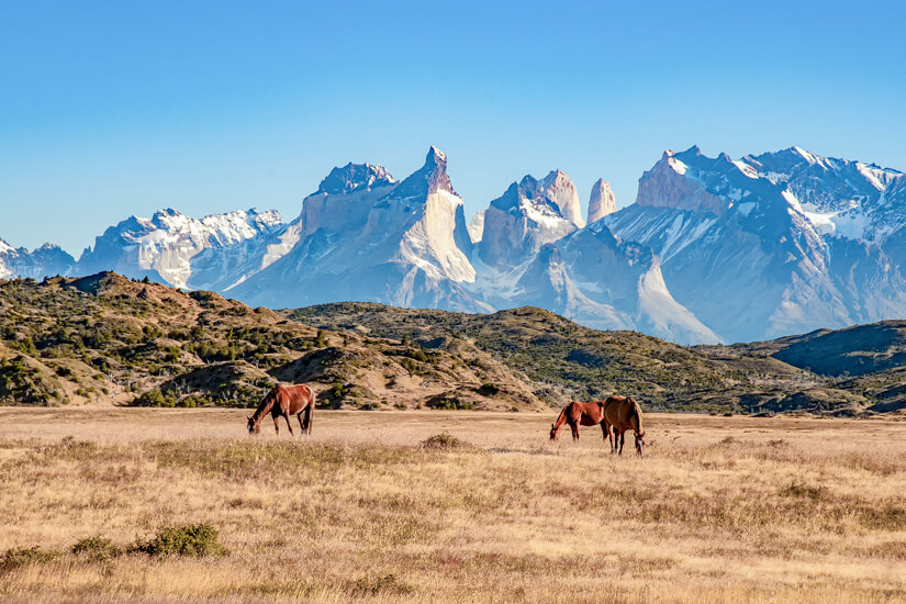 Torres del Paine Ausblick