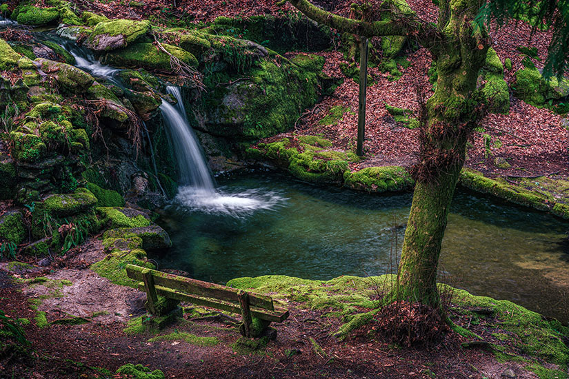 Parque Natural Monte Aloya