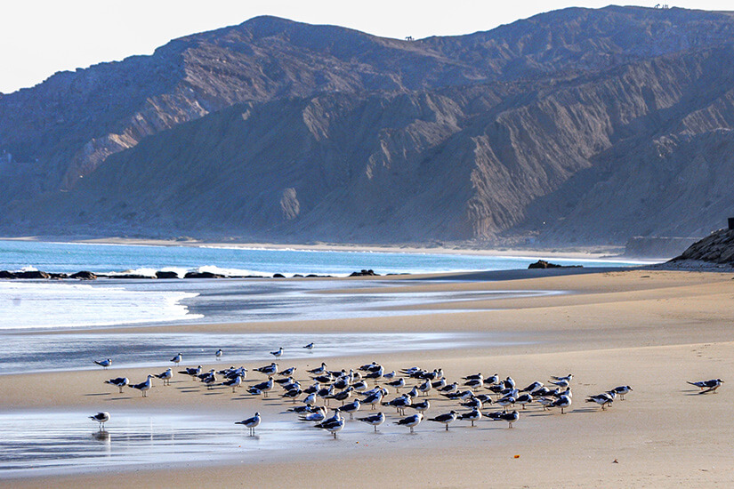 Peru Straende Cabo Blanco