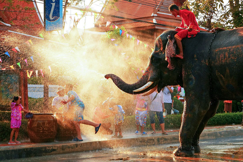Bangkok Elefant