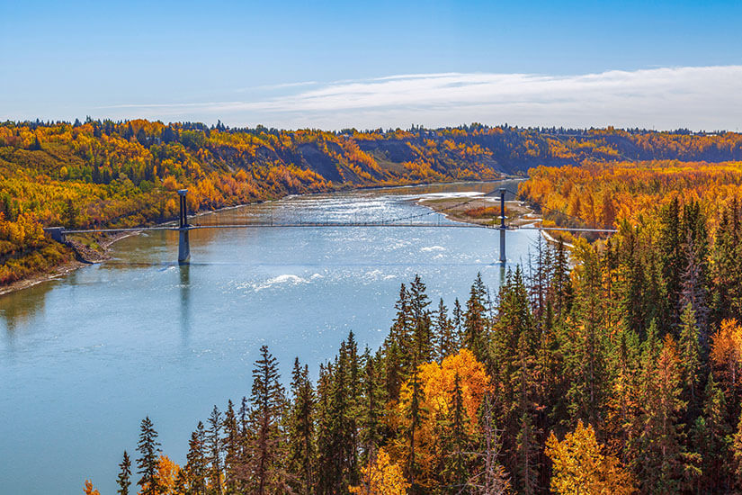 Edmonton Herbst