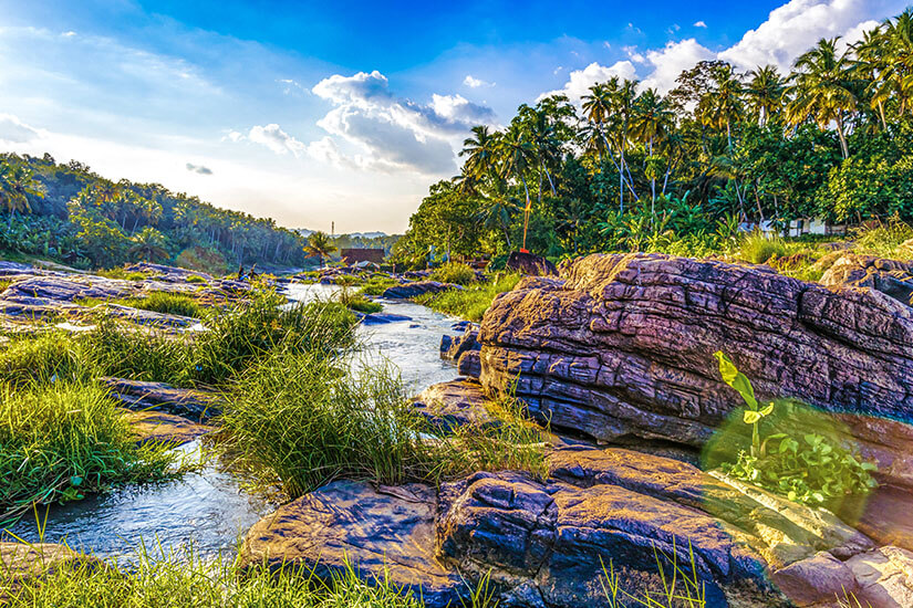 Tamil Nadu Aruvikkara