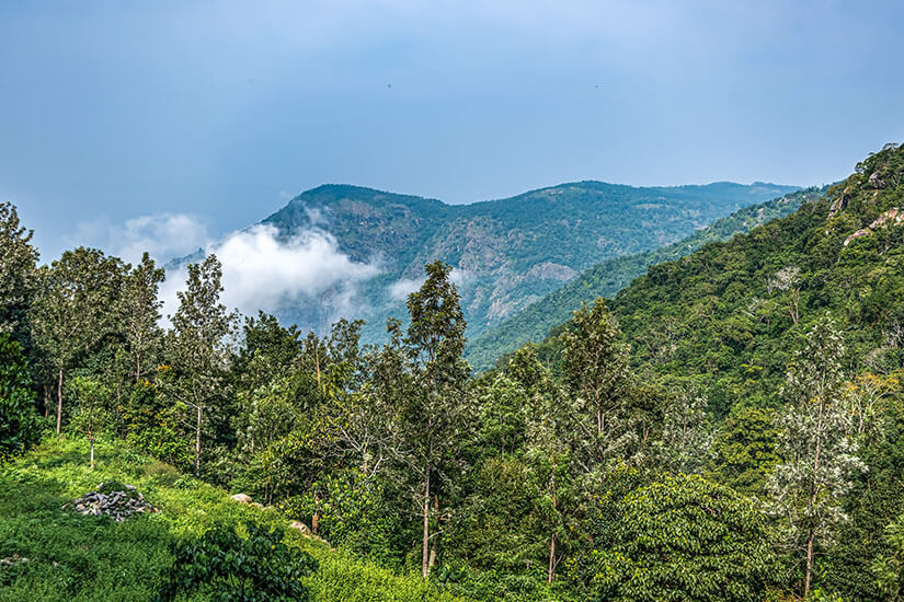 Tamil Nadu Shevaroy Hills
