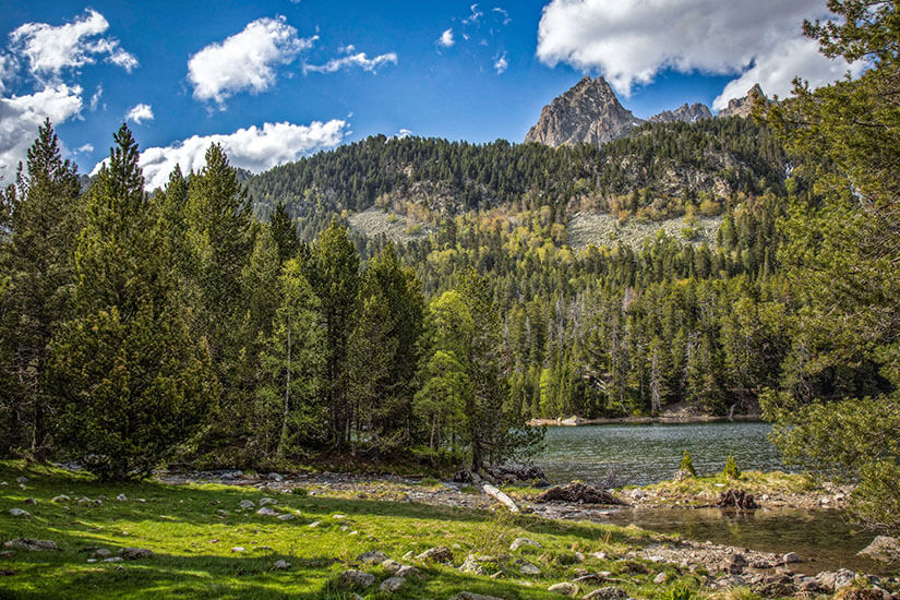 Aigueestortes i Estany de Sant Maurici