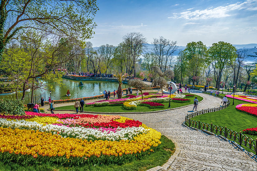 Aktivitaeten Istanbul Tulpen