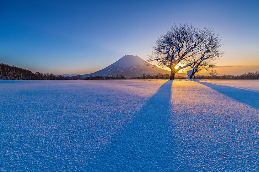 Hokkaido Niseko