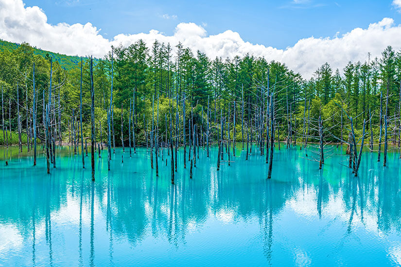 Hokkaido Shirogane Blue Pond