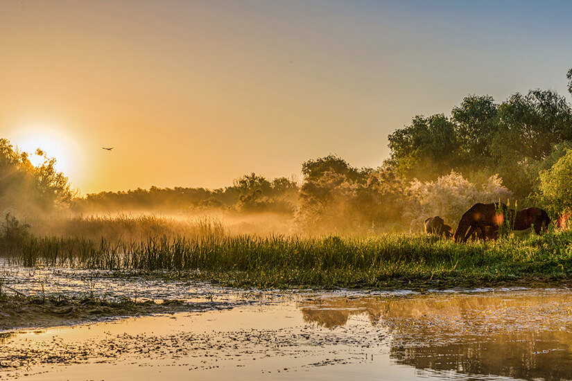 Donaudelta Sonnenuntergang