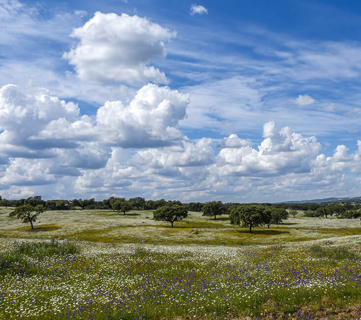 Alentejo in Portugal Sehenswürdigkeiten und Aktivitäten