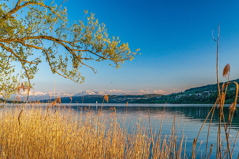 Kanton Aargau Ausblick