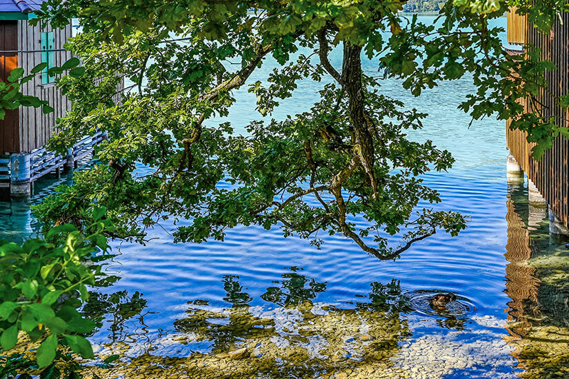 Kanton Aargau Hallwilersee