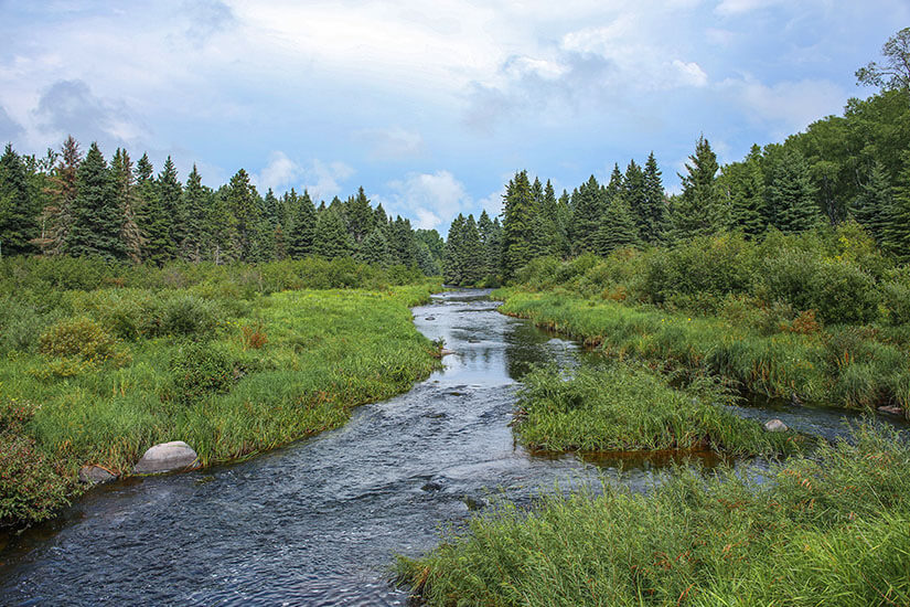 Riding Mountain Nationalpark Bach