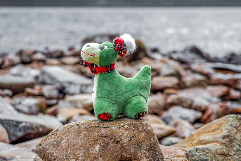 Schottland Souvenirs Nessie