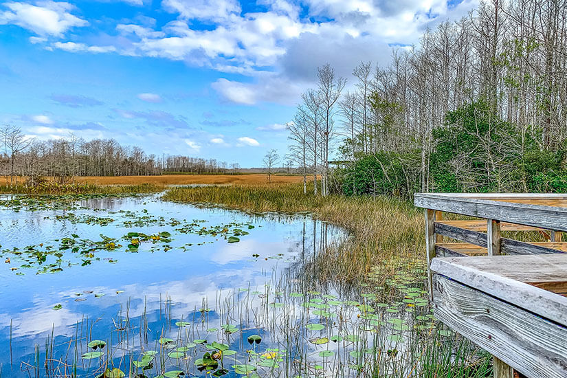 Grassy Waters Preserve