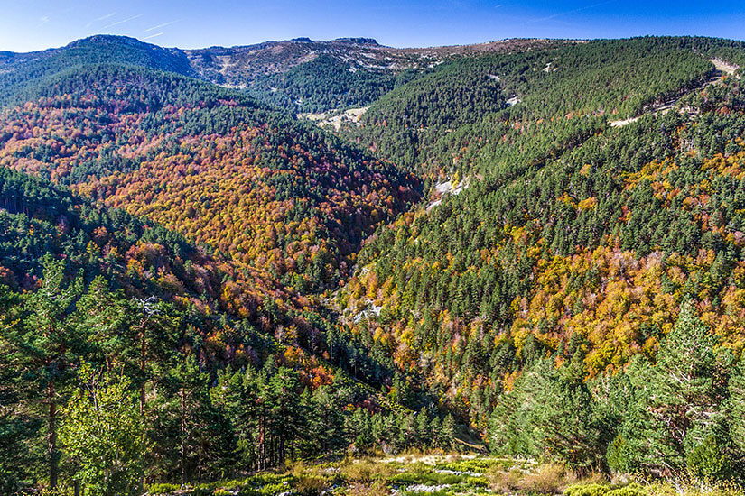 Parque Natural Sierra de Cebollera