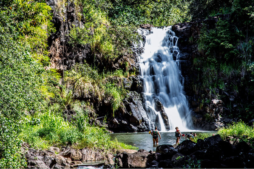 Honolulu Waimea Valley