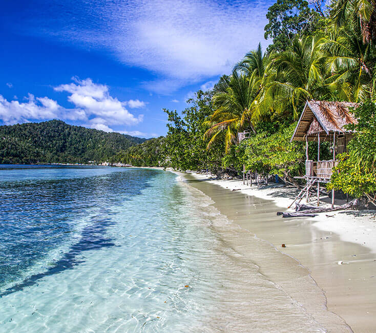 Meer Raja Rind Raja Ampat in Indonesien: Anreise und beste Reisezeit