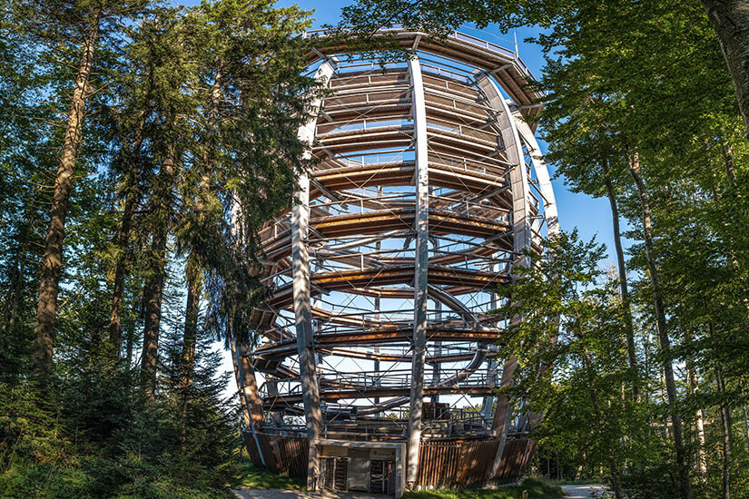 Gmunden Baumwipfelpfad Salzkammergut