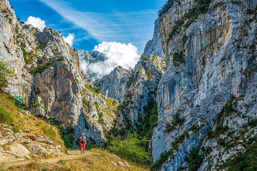 Costa Verde Picos de Europa