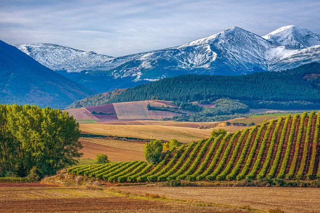 La Rioja in Spanien Landschaft, Weinbau und Aktivitäten